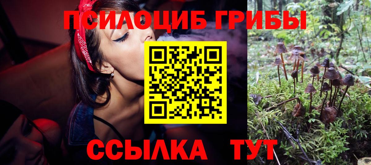 Галлюциногенные грибы Magic Shrooms  Вход с VPN  Галлюциногенные грибы прущие грибы  Заинск 